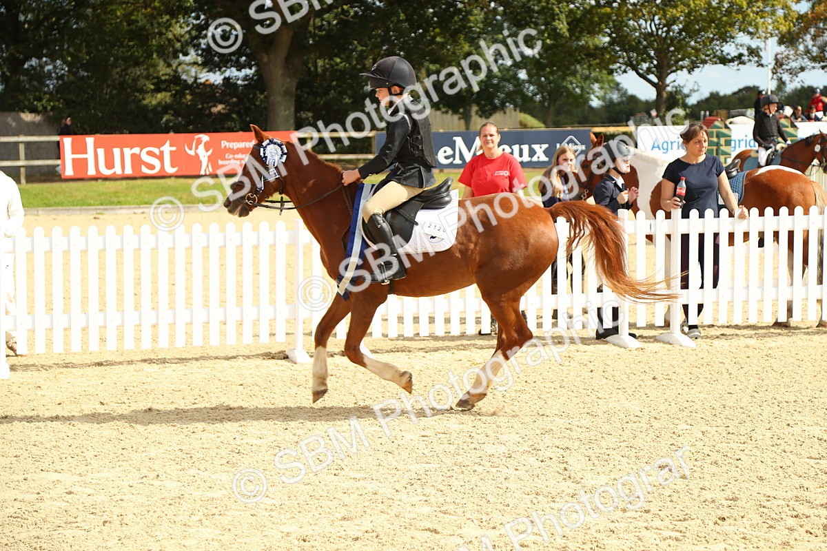 SBM_46298 - Supreme Championship - AM