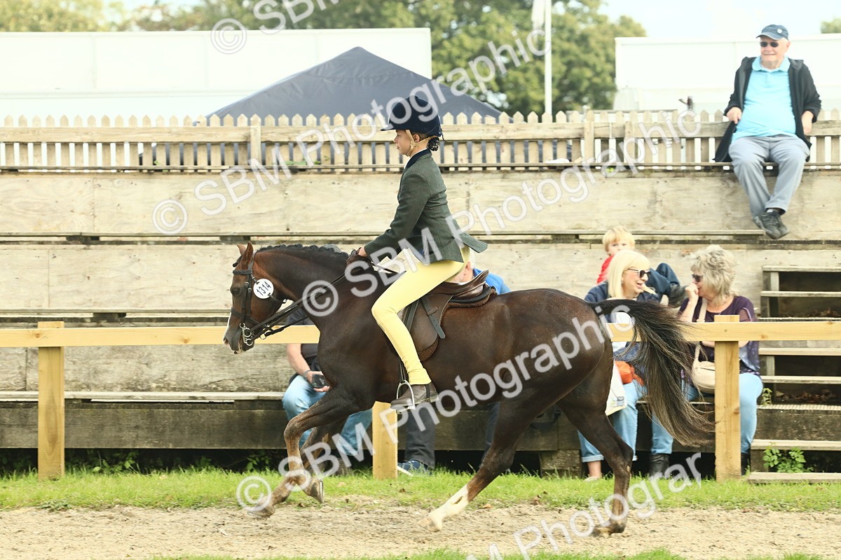 SBM_68074 - S57 - Part Bred Pony Ridden