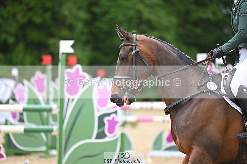 240526-160234-25236 - 271-WILD_ATLANTIC_WAY-Susie_Berry