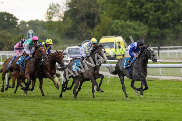 190523-Race 5-Mostabshir-7838 - Race 5 4.10pm Darley Novice Stakes