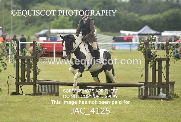 JAC_4125 - 40CM WORKING HUNTER