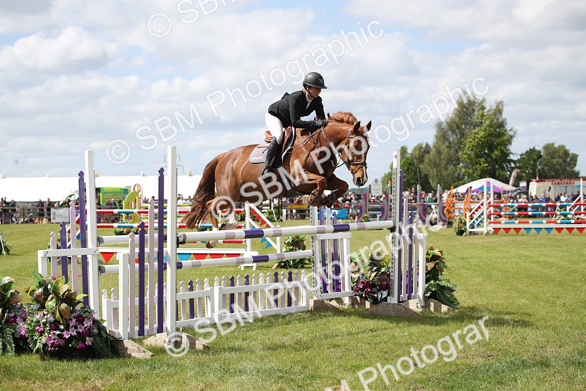 SBM_17477 - Class 208 - Senior Foxhunter 1.20m Open
