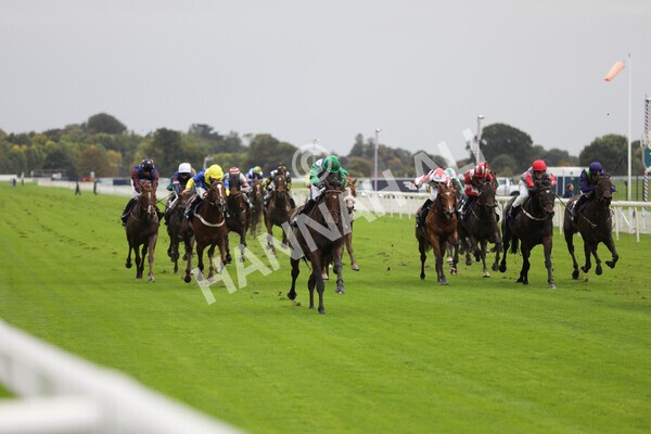 yr07102022r2-22 - Race 2 2.40pm William Hill Autumn Mile