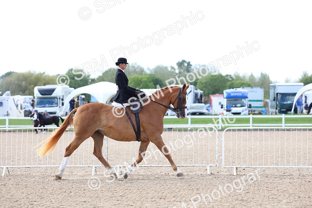 SBM_11190 - Class 306 - Ridden Foreign Breeds - Part Bred