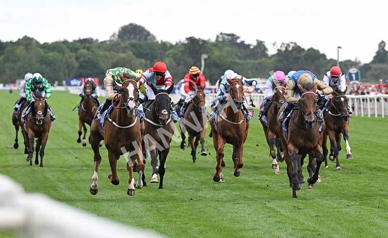 220826-138 Daiquiri Bay - Race 4 15.35pm Sky Bet Ebor Handicap