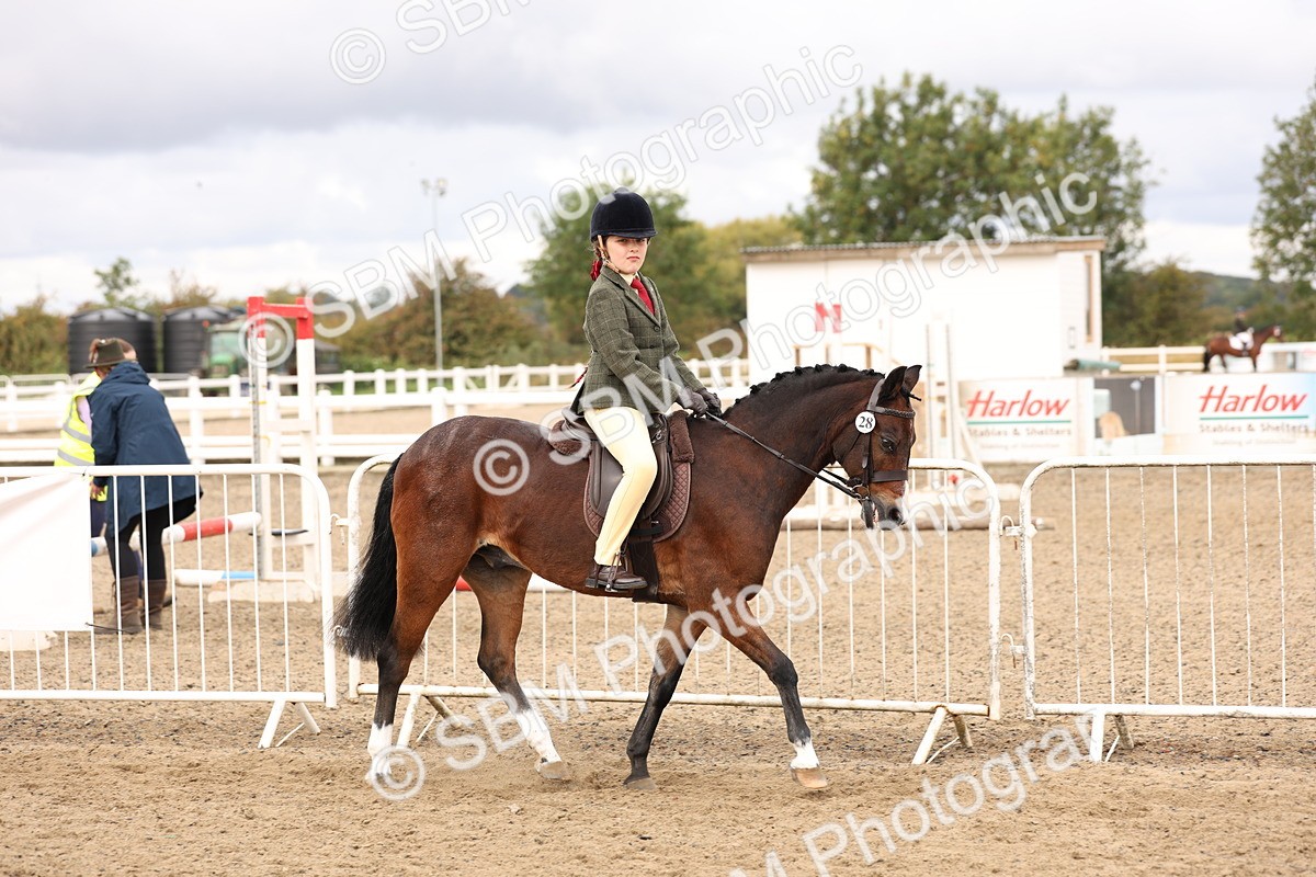 SBM_02801 - Class 53 - Ridden Competition Horse/Pony