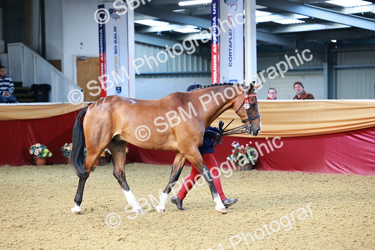 SBM_21751 - Class 901 - Supreme Final - IH  Diamond