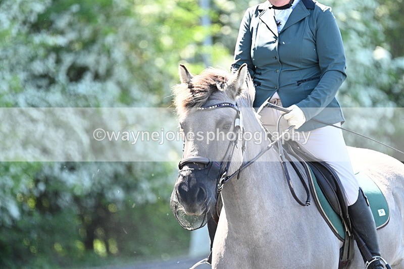 WJ7_9420 - Time 12:10 to 12:21