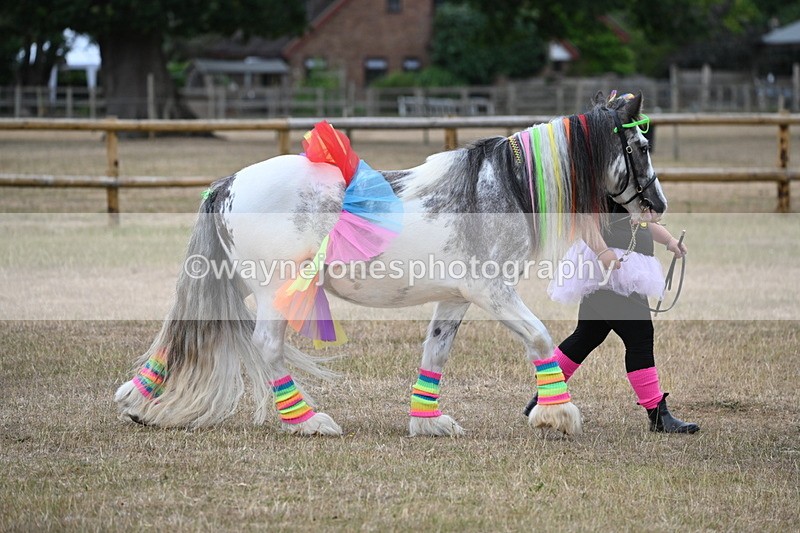 WJ6_8831 - Class 11 Fancy Dress