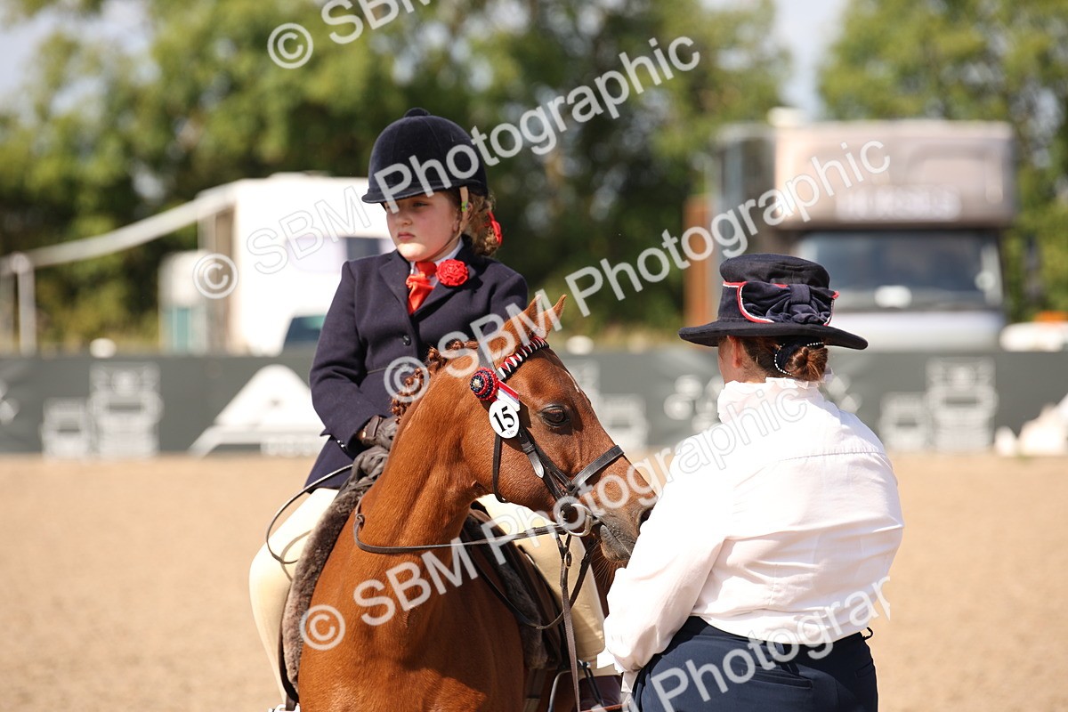 SBM_03065 - Class 17 Prettiest Mare IH or Ridden