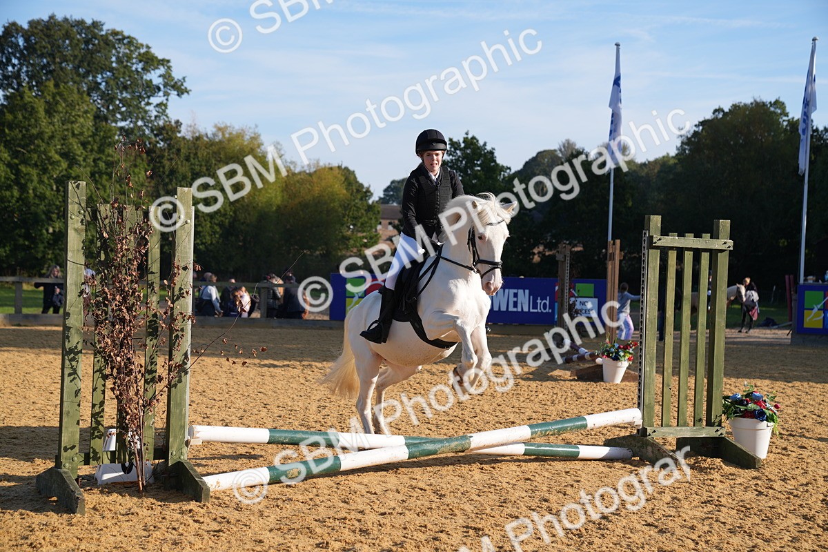 SBM_59045 - J63 - Minis Clear Round 30cm 40cm