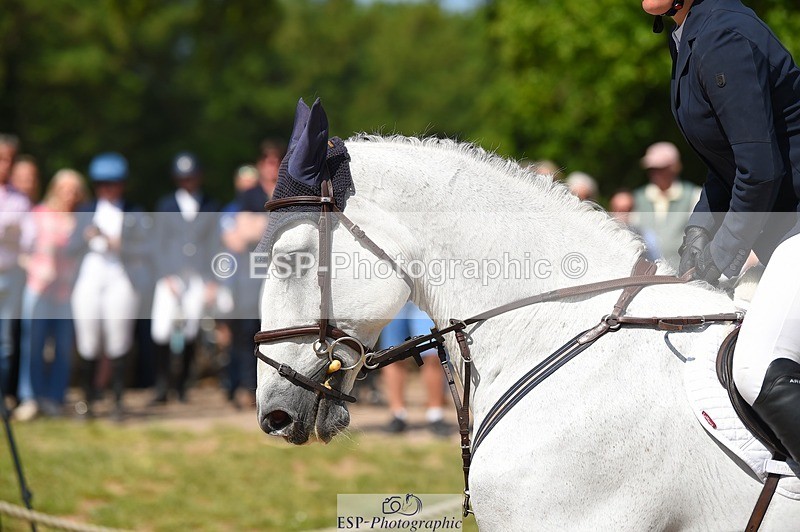 230528-102900-14972 - 261-COOLEY_NOW_OR_NEVER-Georgina_Herrling-SJ