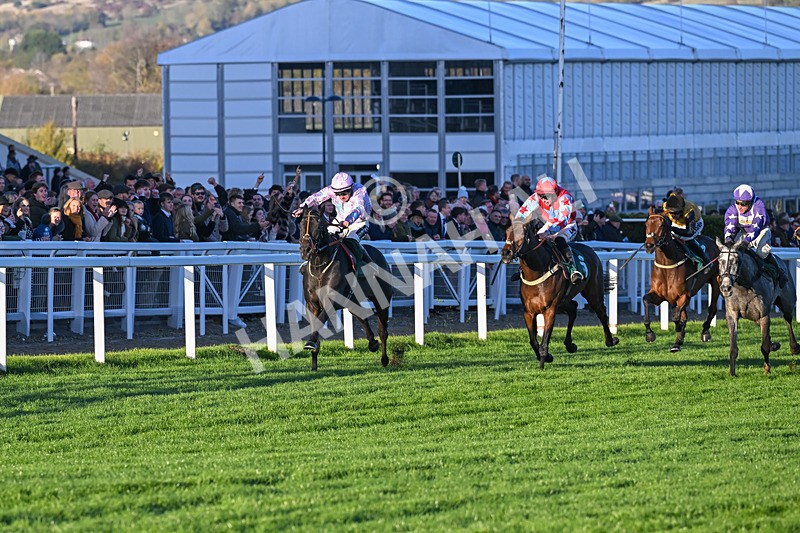 251025-Race 7-Chicker-0303 - Race 7