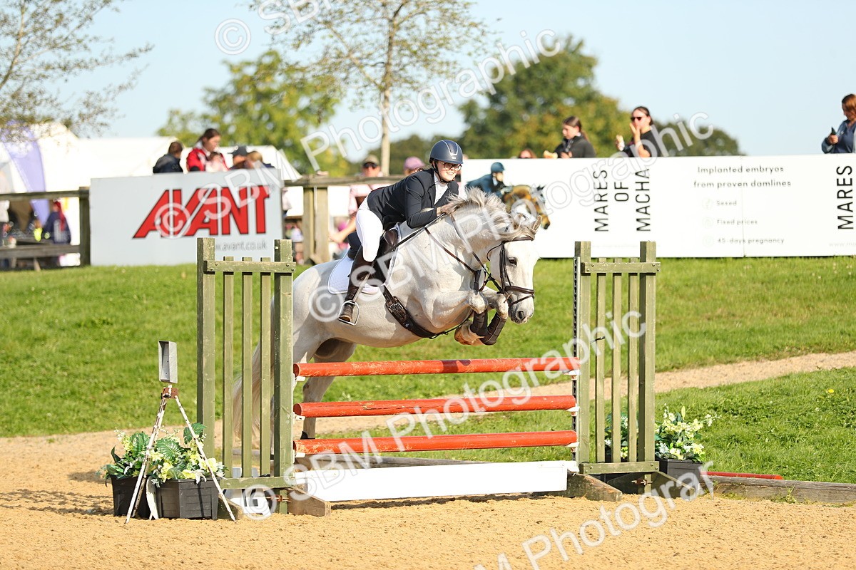 SBM_60309 - J41 - Grand Tour 95cm Championship