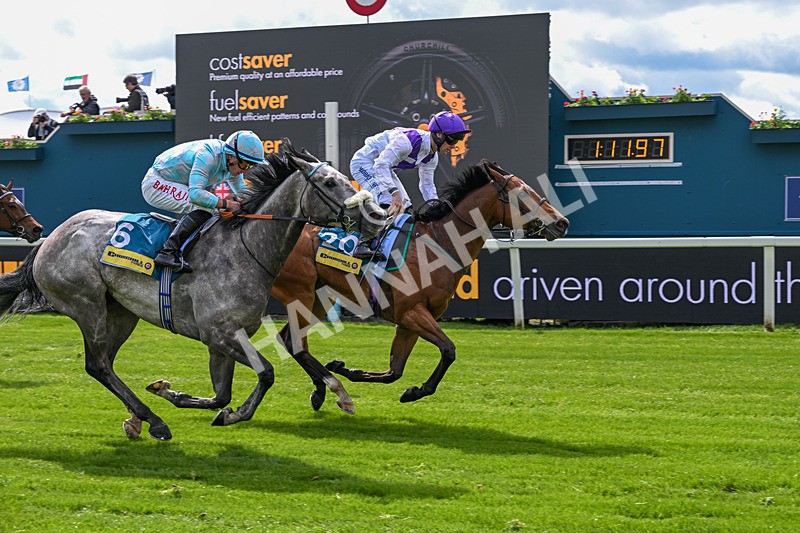 130526-Race 3-Dark Thirty-2808 - Race 3 2.55pm Churchill Tyres Handicap