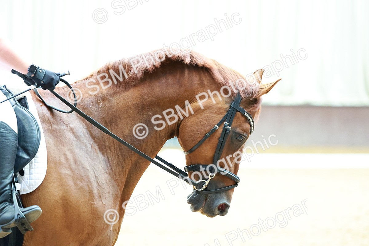 SBM_001466 - Novice Test 3 - PYO