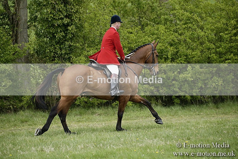 PtP 170417 545 - Old Berks Point-to-Point Lockinge 17/04/17