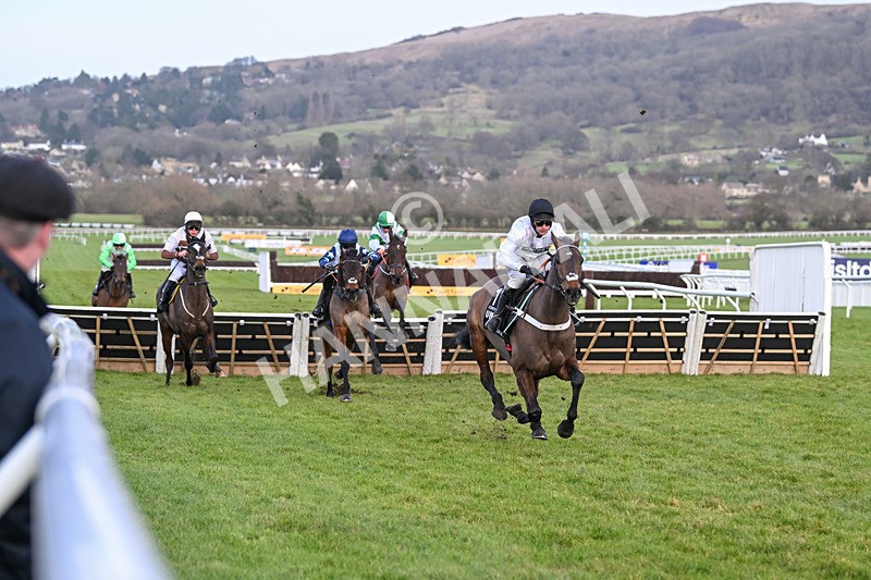 250125-Race 5-Constitution Hill-4714 - Race 5