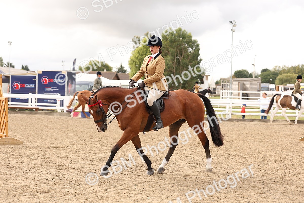 SBM_02826 - Class 53 - Ridden Competition Horse/Pony