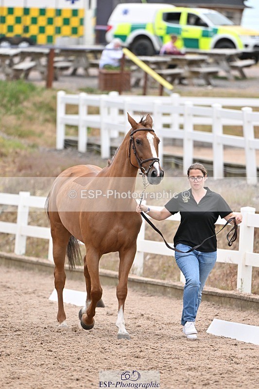 250716-140815-00926 - Trot Up 1.30 to 2.30