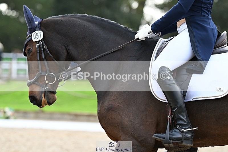 231019-145051-04291 - 057-OVERTON.TILANA'S.GOLD-Claire.Deuten-DR