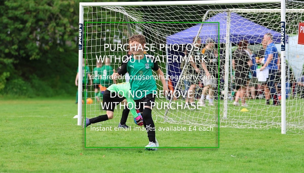 533A7229 - Burton Thistle