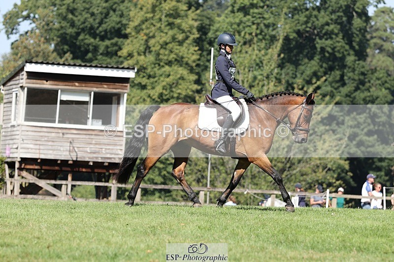 250823A-105001-27803 - Arena D