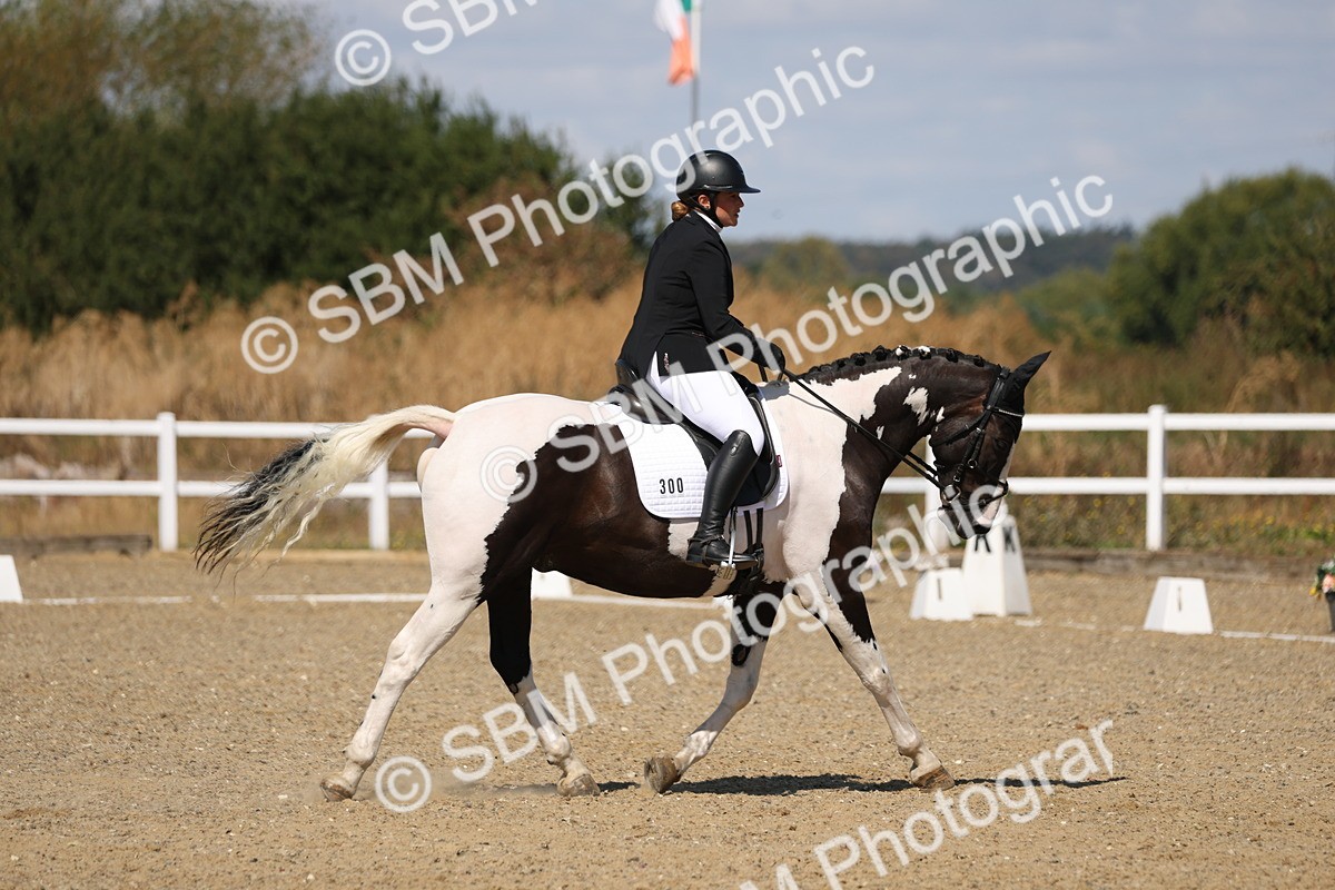 SBM_013653 - Class 1 - P5 Bronze 10.38.12.02