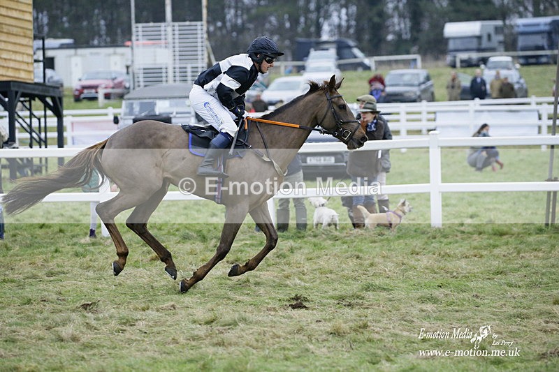 PtP 220122 738 - Royal Artillery Hunt Point-to-Point  - Larkhill Racecourse 22/01/22