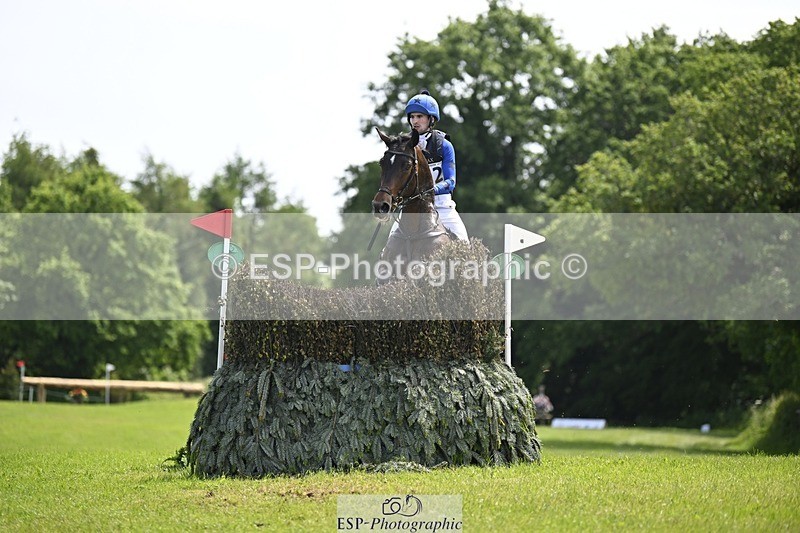 240525-141124-14878 - 162-HAZZLE_DAZZLE-Henry_Hobby