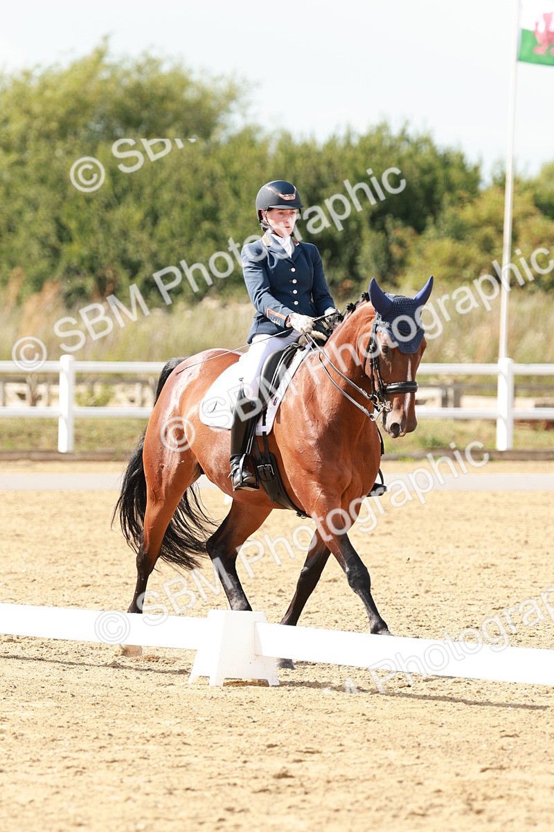 SBM_002496 - Class 11 - Medium 6