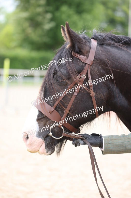 20250524-0754 - Class 7 - Veteran