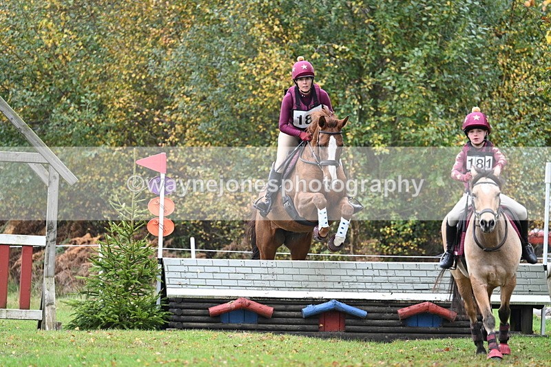 WJ7_2283 - 80cm Cam 2 Pairs Time 12:18 to 12:43