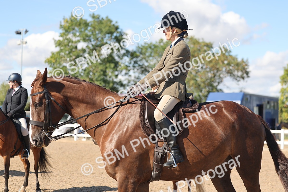 SBM_13079 - Class 305 - Ridden Foreign Breed Pure Bred