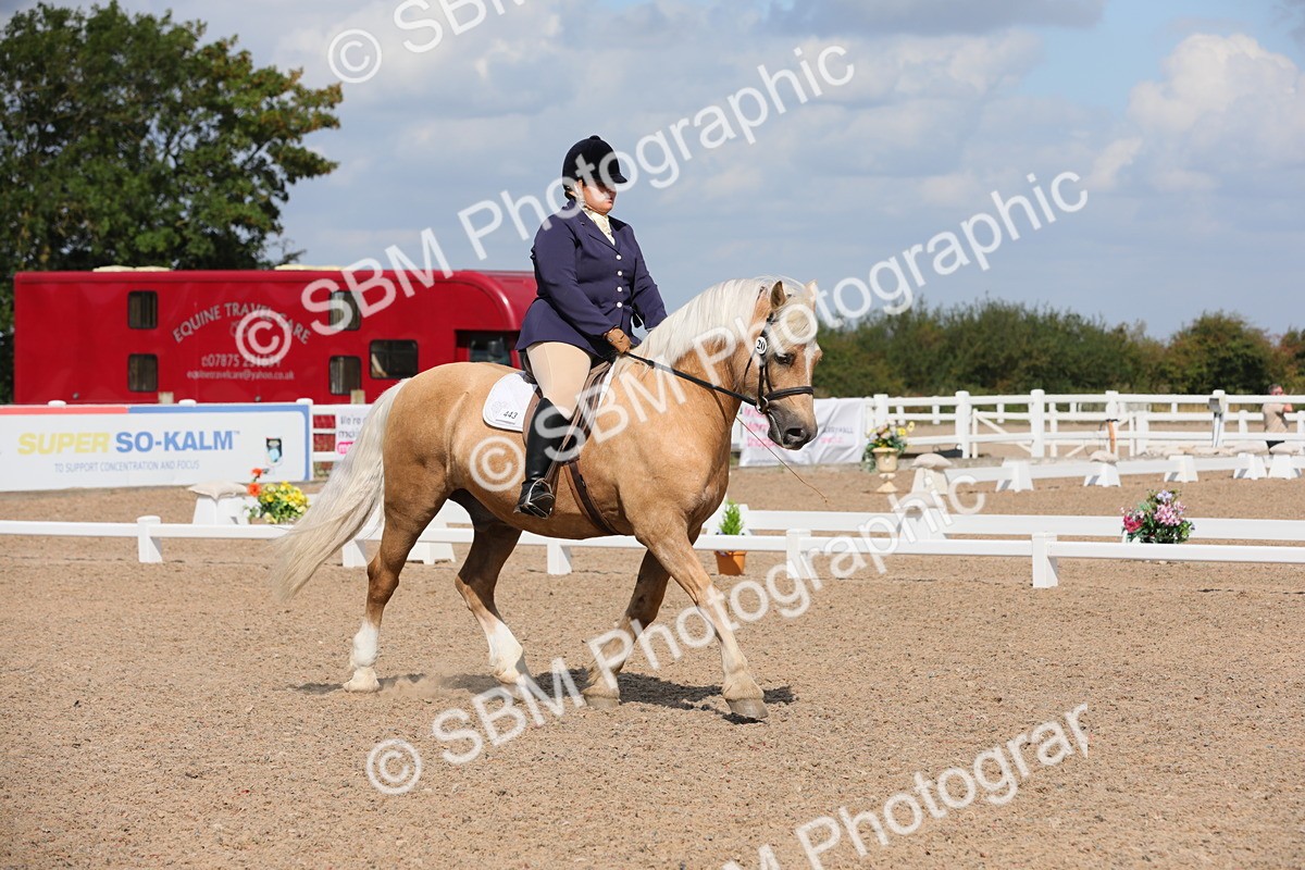 SBM_04014 - Class 31 Prelim 1