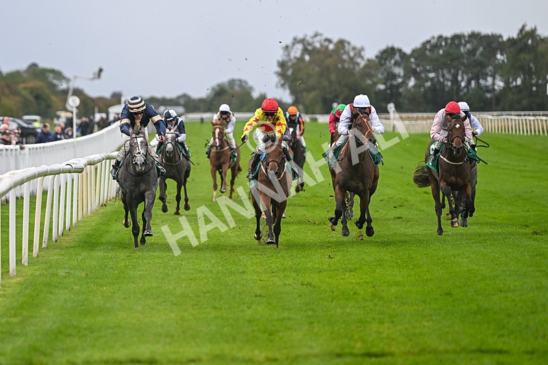 150925-Race 2-Rum Therapy-2369 - Race 2