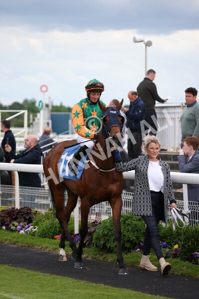 yr22052022r7-13 - Race 7: 6:40pm Sky Bet Sunday Series Fillies' and Mares Stakes