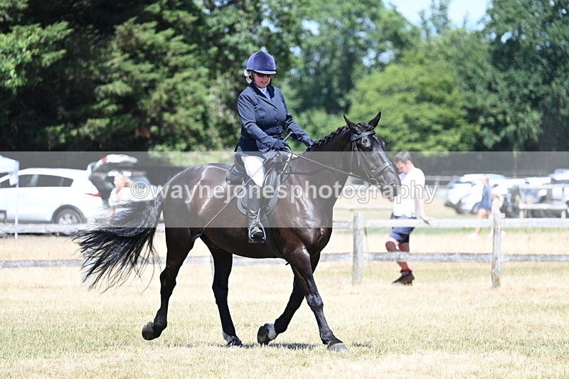 WJ7_2952 - Class 7 Riding Club Show Horse