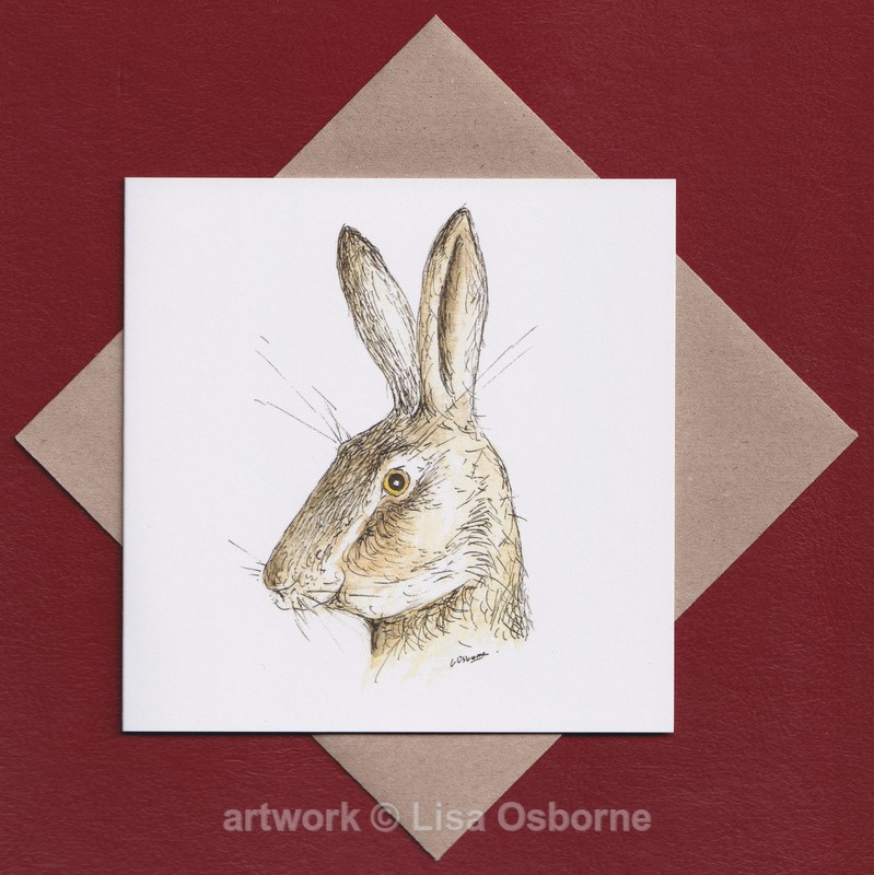 Surprised Hare greetings card - GREETINGS CARDS
