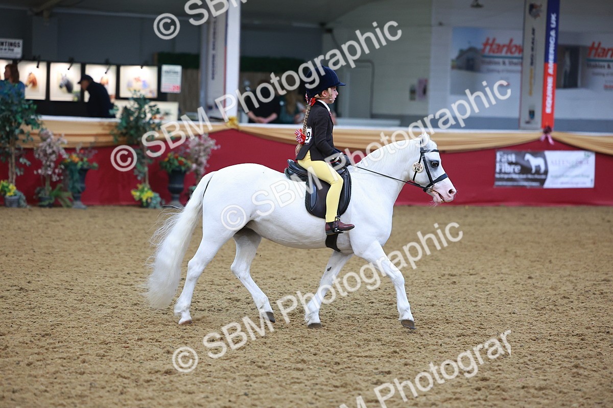 SBM_10697 - Class 103 - HOYS Veteran Qualifier - Ridden Pre Vet
