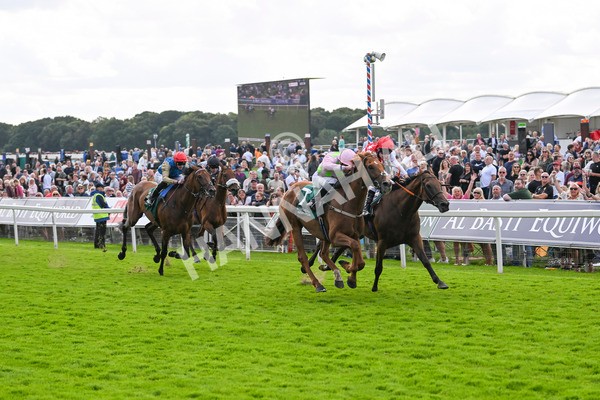 230824-Race 2-Vauban-8939 - Race 2 2.25pm Weatherbys Hamilton Lonsdale Cup Stakes