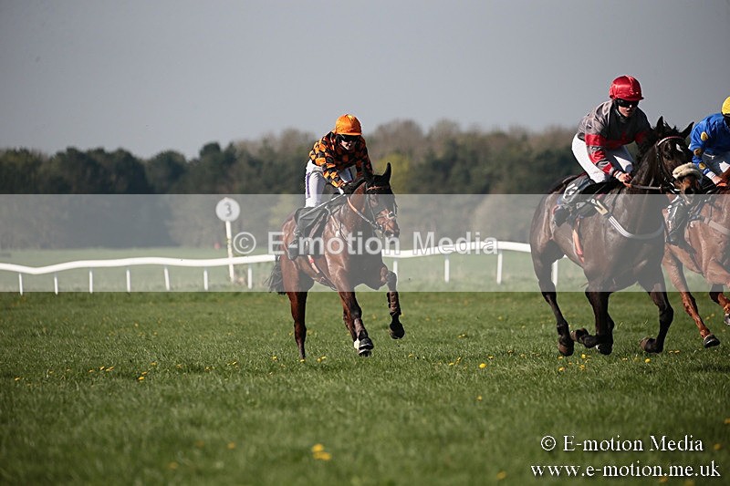 PtP 210418 525 - South & West Wilts Point-to-Point Larkhill 21/04/18