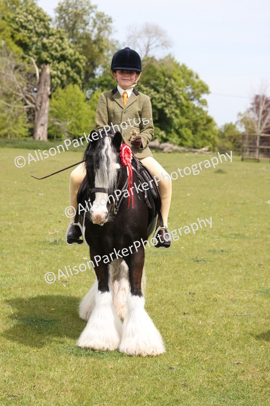 20260426-4004 - Class 33 - Best Pony 14.2hh and Under