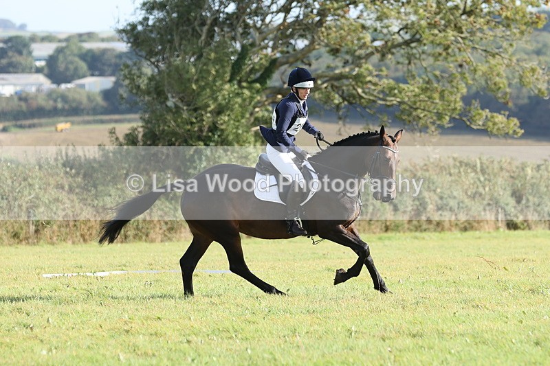 JPP_8004 - Class 2A: Trekenning Open: Dressage