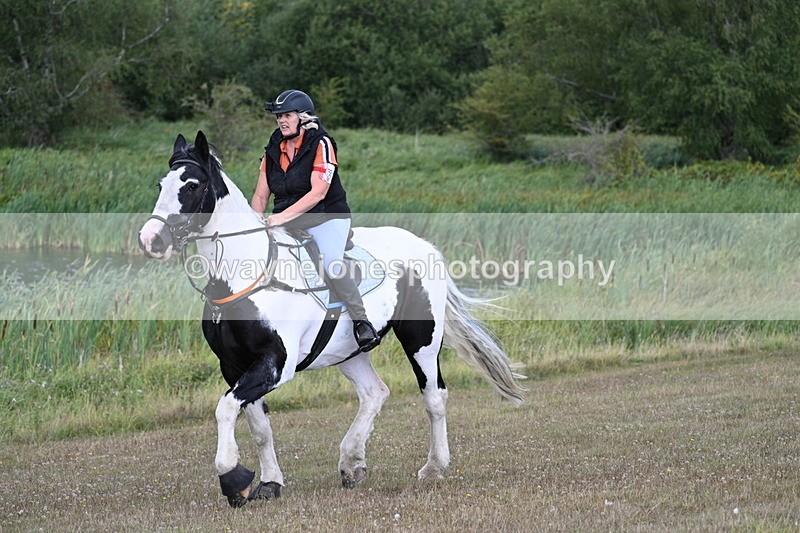 WJ7_5365 - Time 11:22 to 11:41