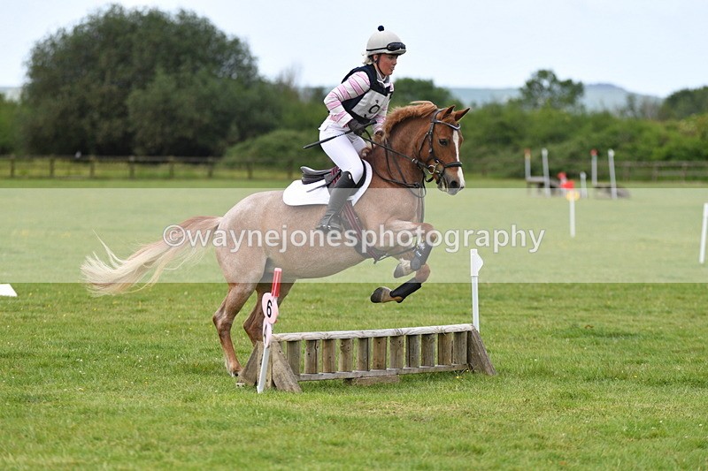 WJ5_2505 - Class 2 40cm