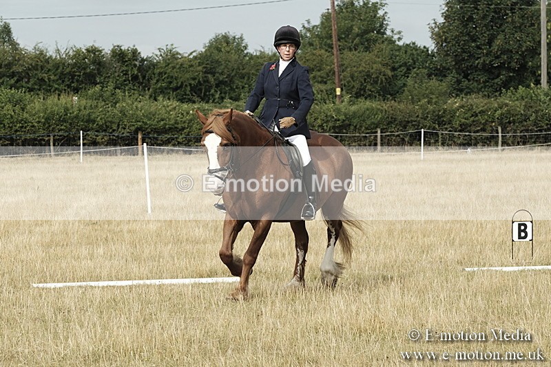 _PJP5614 - Dressage Classes BVRC Show 2018