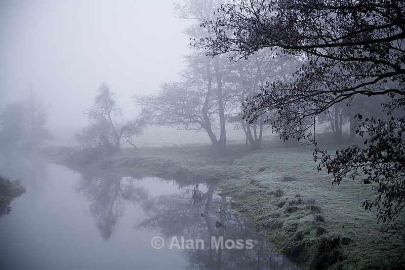 Morning mist 2 - Landscapes