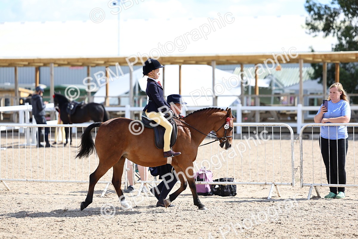 SBM_13033 - Class 309 - Lead Rein Pony