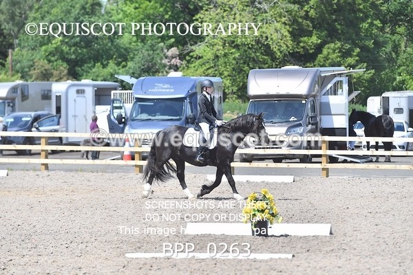 BPP_0263 - SHORT ARENA  MY QUEST PRELIM